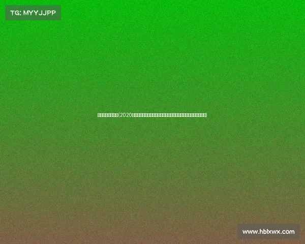 沈阳承办大型赛事(2020沈阳精彩赛事回顾运动员拼搏精神闪耀赛场观众热情参与共创辉煌)