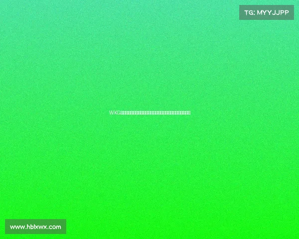 WKG格斗赛事热血开战全球顶尖高手齐聚擂台激战对决荣耀巅峰之战